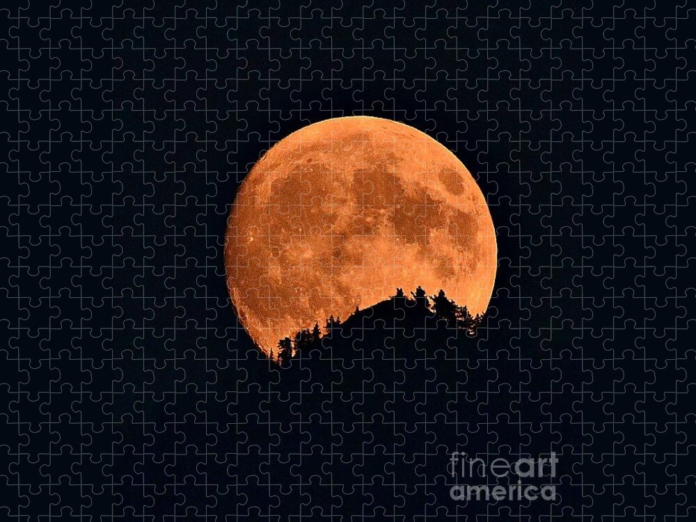 Full Moon Jigsaw Puzzle featuring the photograph Bad Moon Rising by Dorrene BrownButterfield