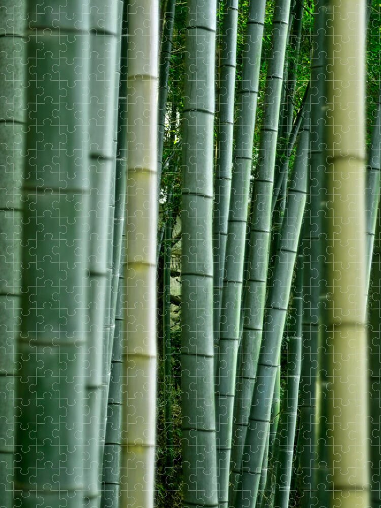 Bamboo Jigsaw Puzzle by Pixonaut - Photos.com