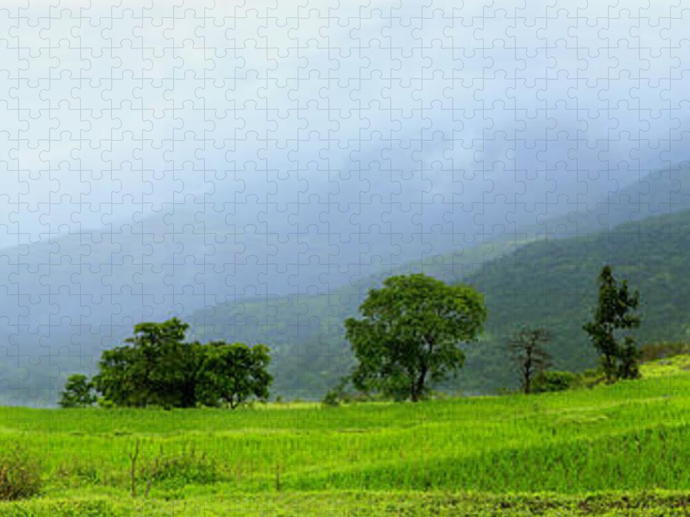 Scenics Jigsaw Puzzle featuring the photograph Bari Village, Bhandardhara by Rbb