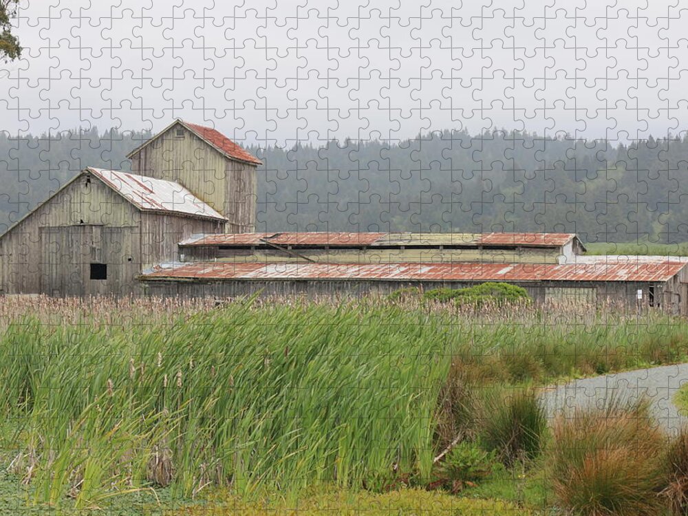 Barn Jigsaw Puzzle featuring the photograph Barn by Christy Pooschke