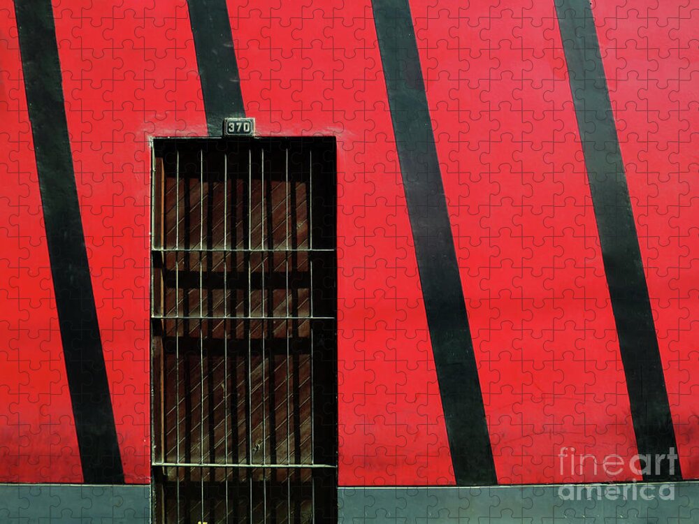 Door Jigsaw Puzzle featuring the photograph Bars and Stripes by Rick Locke - Out of the Corner of My Eye