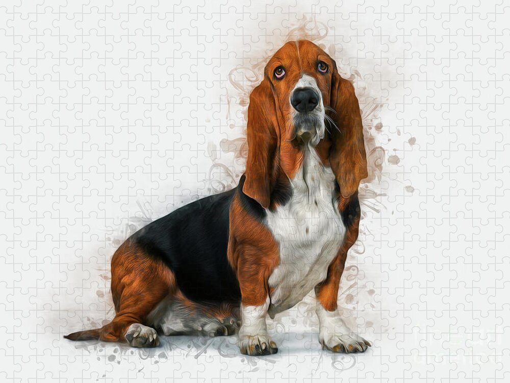 Dog Jigsaw Puzzle featuring the photograph Basset Hound by Ian Mitchell