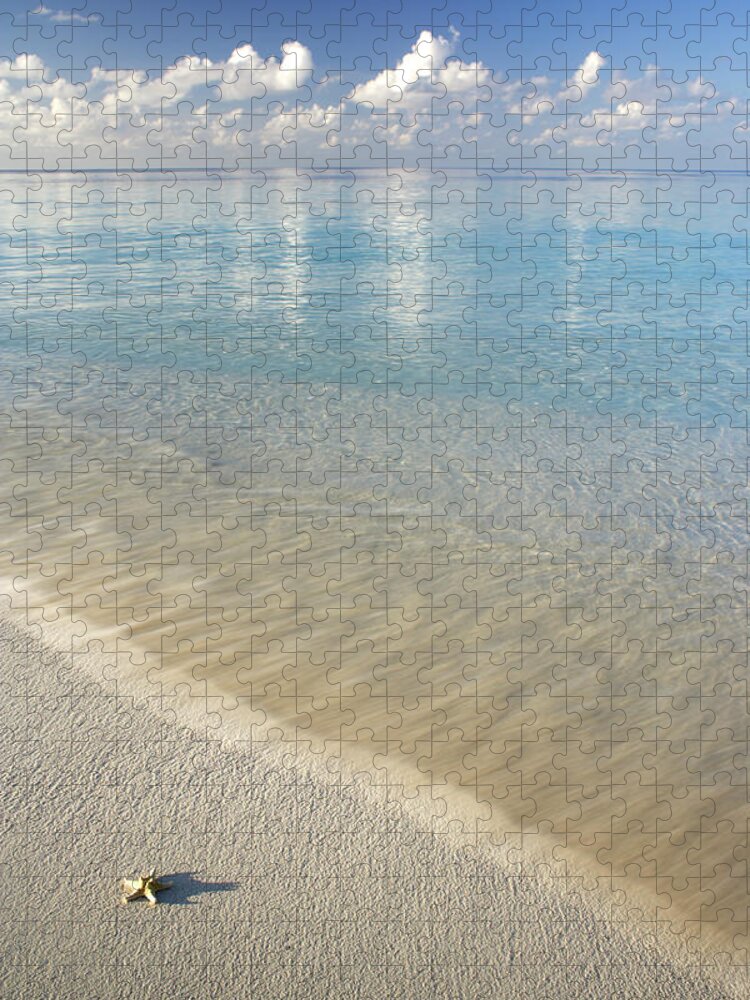 Water's Edge Jigsaw Puzzle featuring the photograph Beach And Ocean by Peter Cade
