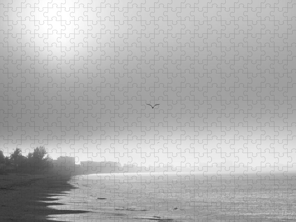 Ft Myers Beach Jigsaw Puzzle featuring the photograph Beach Fog by Nunweiler Photography