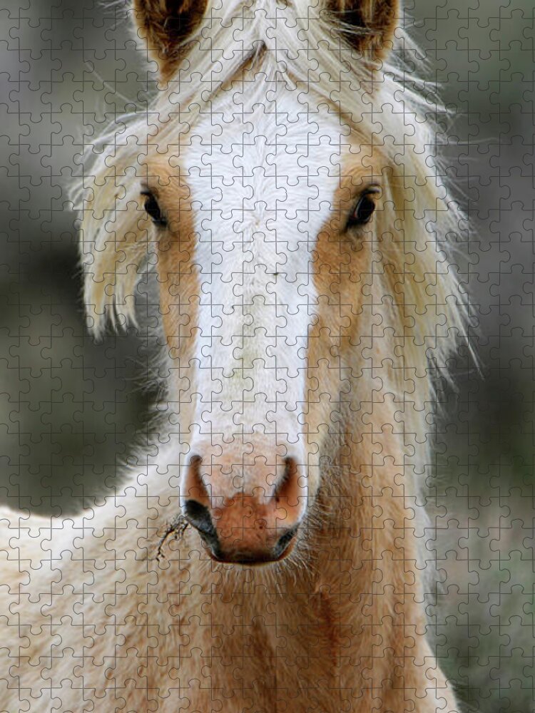Denise Bruchman Photography Jigsaw Puzzle featuring the photograph Beautiful Blonde by Denise Bruchman