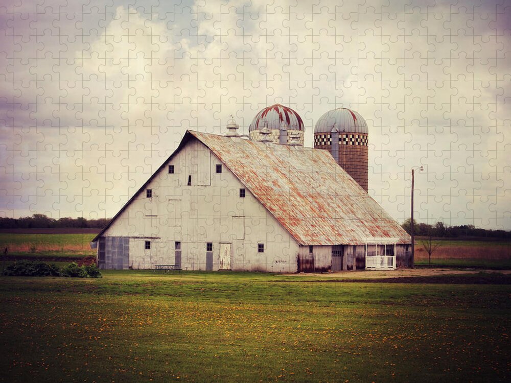 Barn Jigsaw Puzzle featuring the photograph Beauty by Julie Hamilton