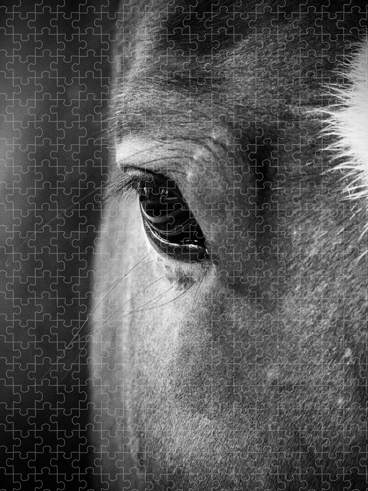 Horse Jigsaw Puzzle featuring the photograph Beauty by Rachel Morrison