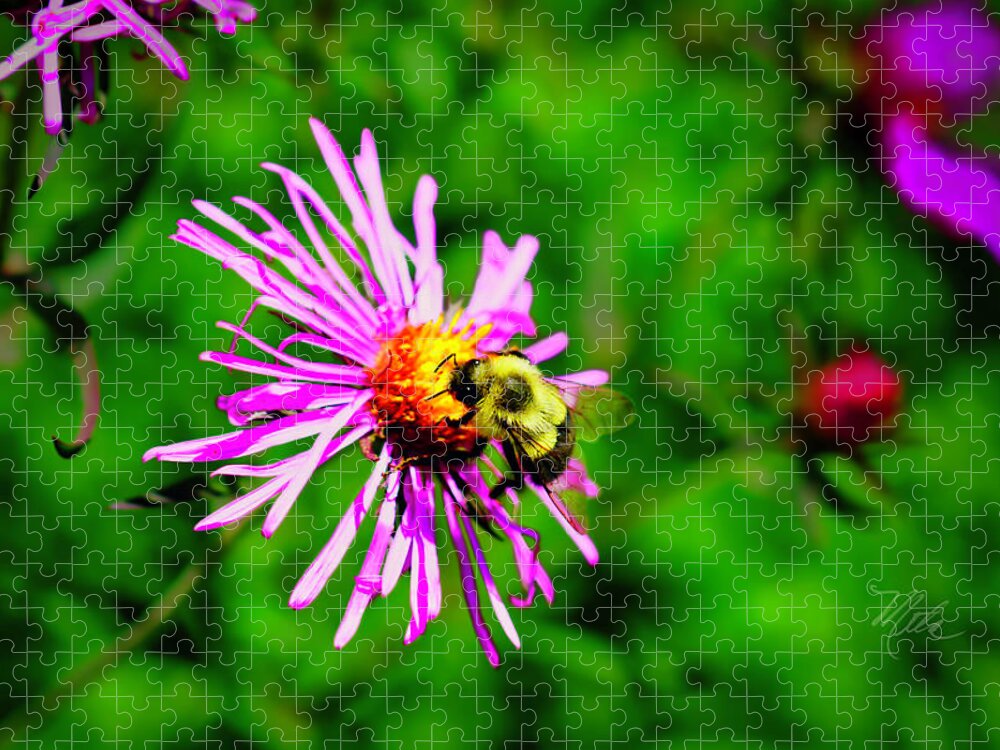 Macro Photography Jigsaw Puzzle featuring the photograph Bee On Purple Flower by Meta Gatschenberger