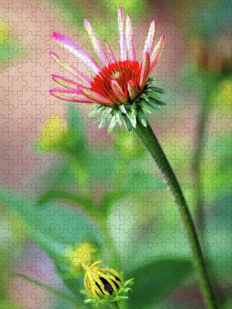 Flower Jigsaw Puzzle featuring the photograph Beginning to Bloom by Carol Montoya