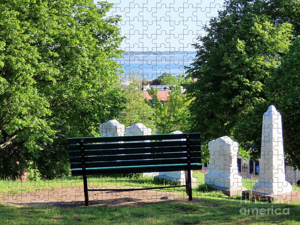 Bench Jigsaw Puzzle featuring the photograph Bench with a harbor view by Janice Drew