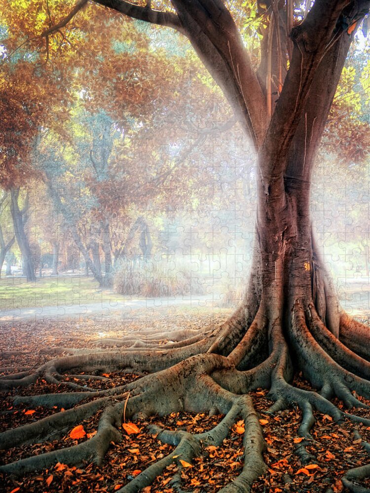 Scenics Jigsaw Puzzle featuring the photograph Big Tree Root by Zu Sanchez Photography