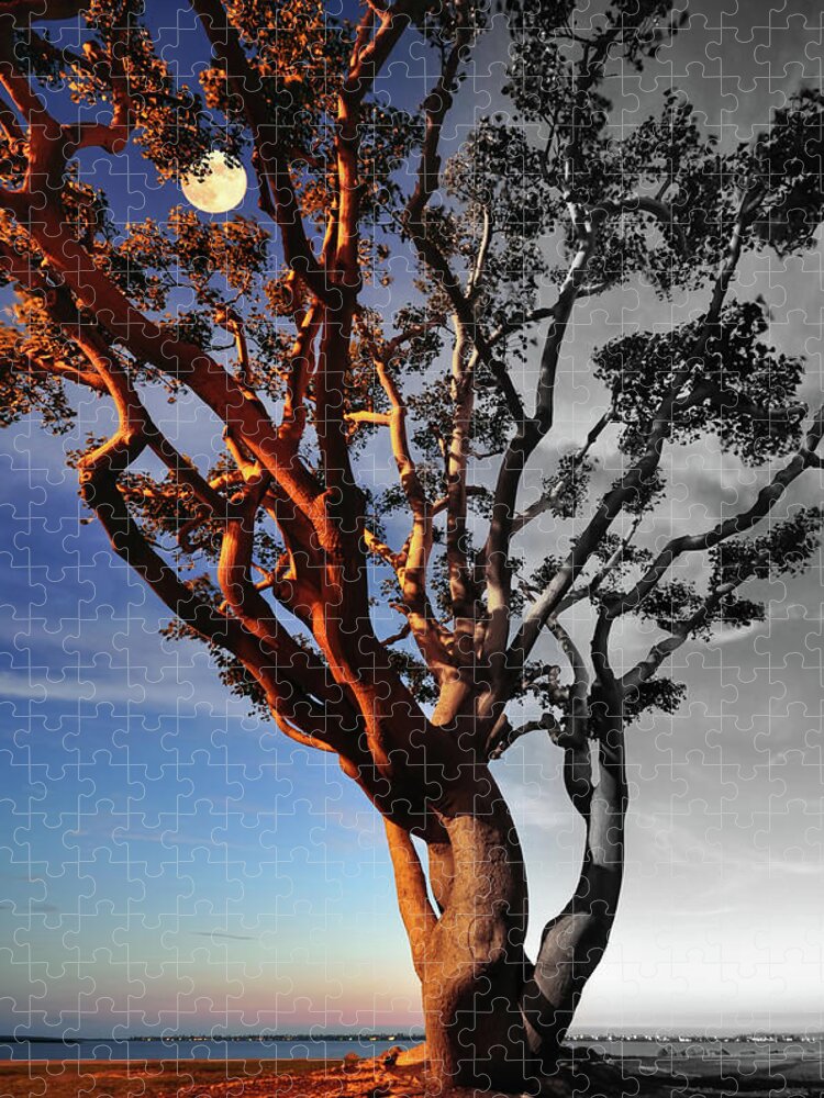 Scenics Jigsaw Puzzle featuring the photograph Bipolar Tree by Lee Sie Photography