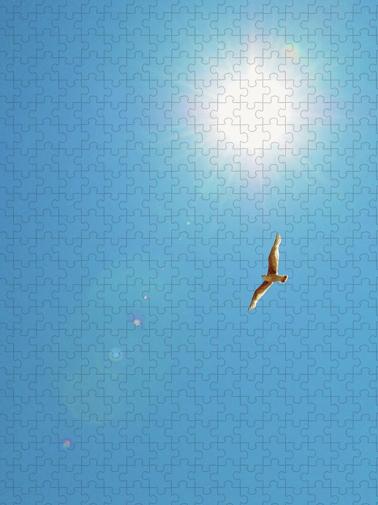 Clear Sky Jigsaw Puzzle featuring the photograph Bird Flying In Blue Sky by Simon Potter