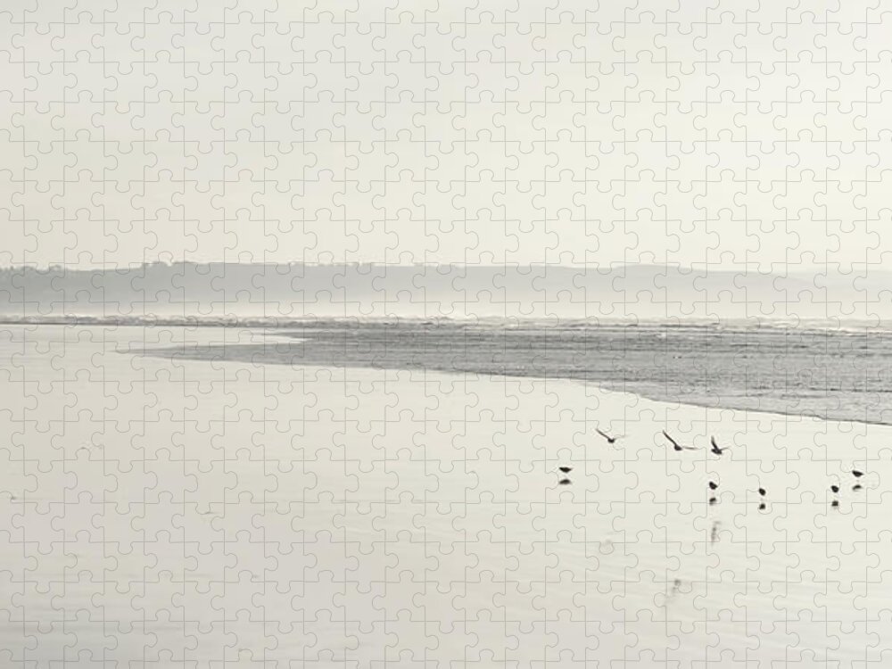 Panoramic Jigsaw Puzzle featuring the photograph Birds On Shoreline At Beach by Suzanne Marshall