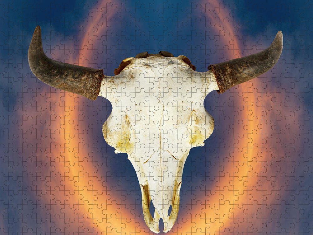 Kansas Jigsaw Puzzle featuring the photograph Bison Skull 001 by Rob Graham