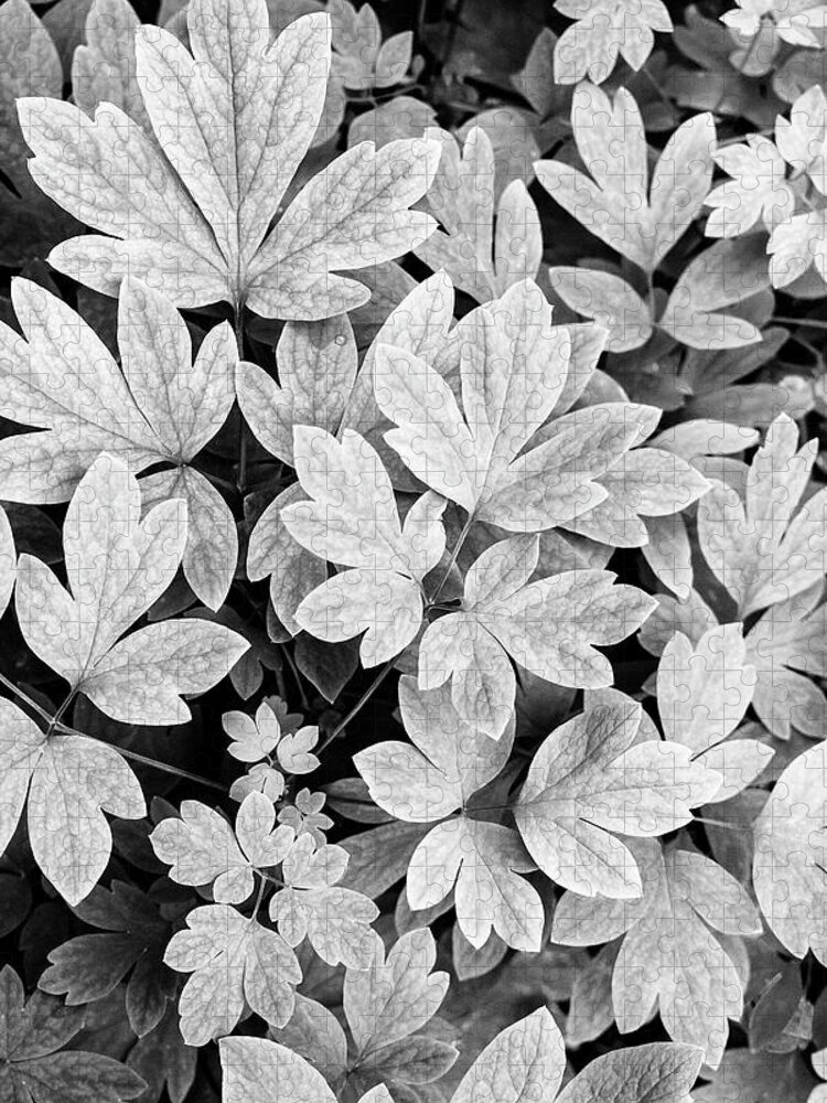 Black And White Jigsaw Puzzle featuring the photograph Black And White Abstract Leaves by Christina Rollo
