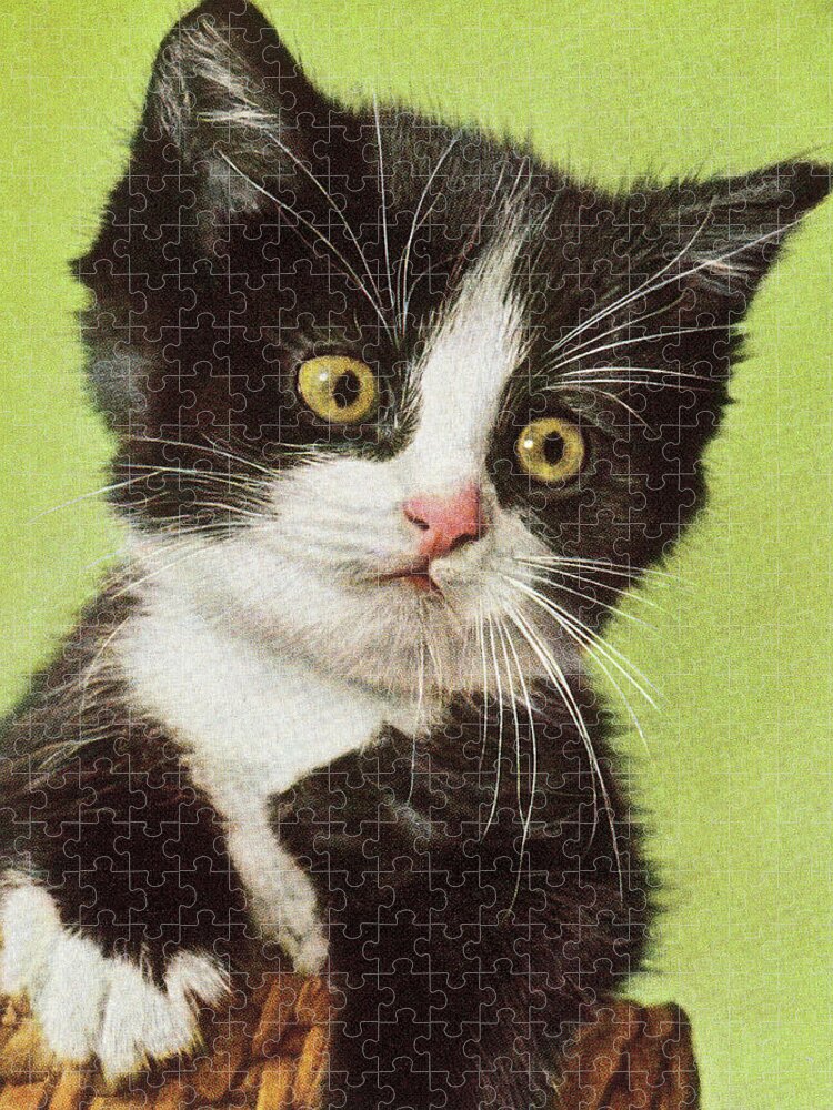 Animal Jigsaw Puzzle featuring the drawing Black and White Kitten by CSA Images
