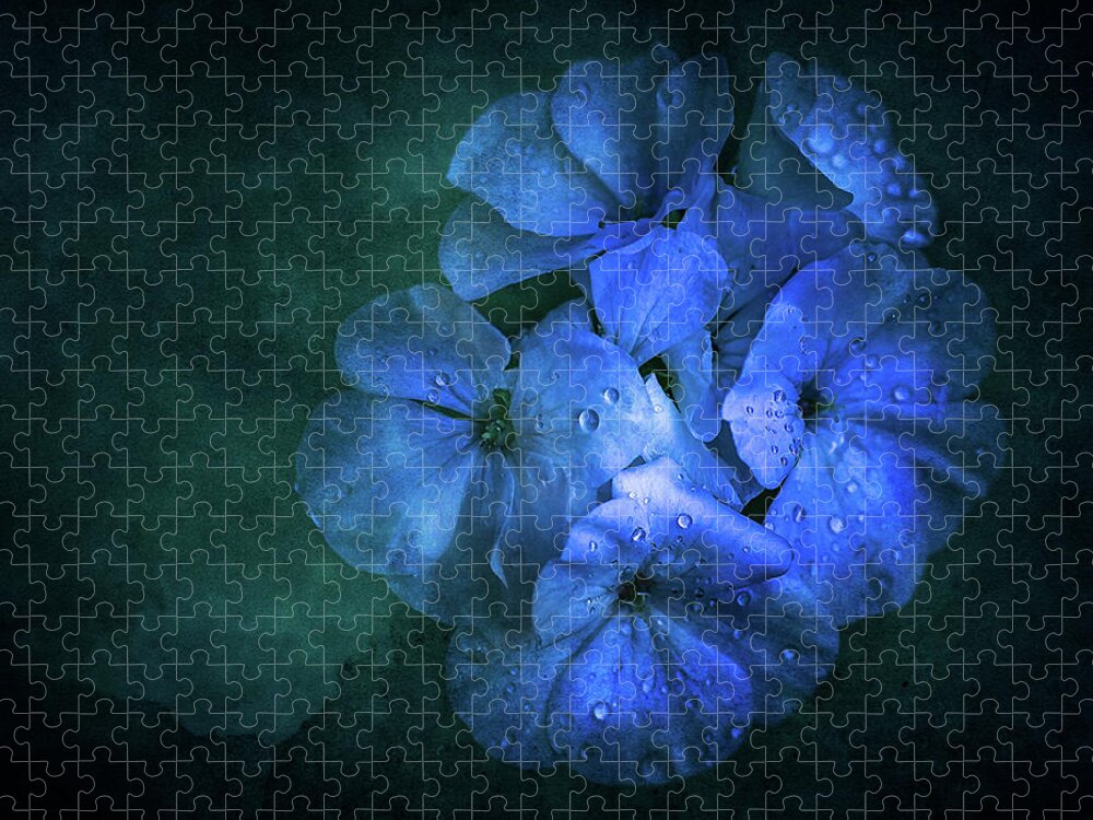 Flower Jigsaw Puzzle featuring the photograph Blue by Allin Sorenson