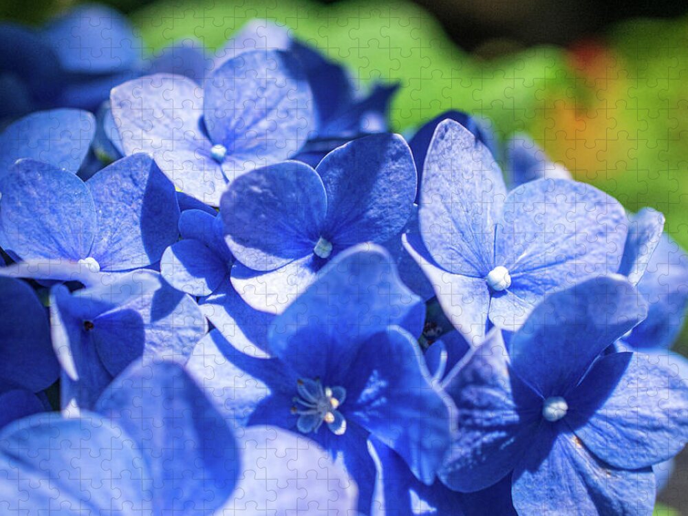 Blue Hydrangea Jigsaw Puzzle featuring the photograph Blue Beauty by Mary Ann Artz