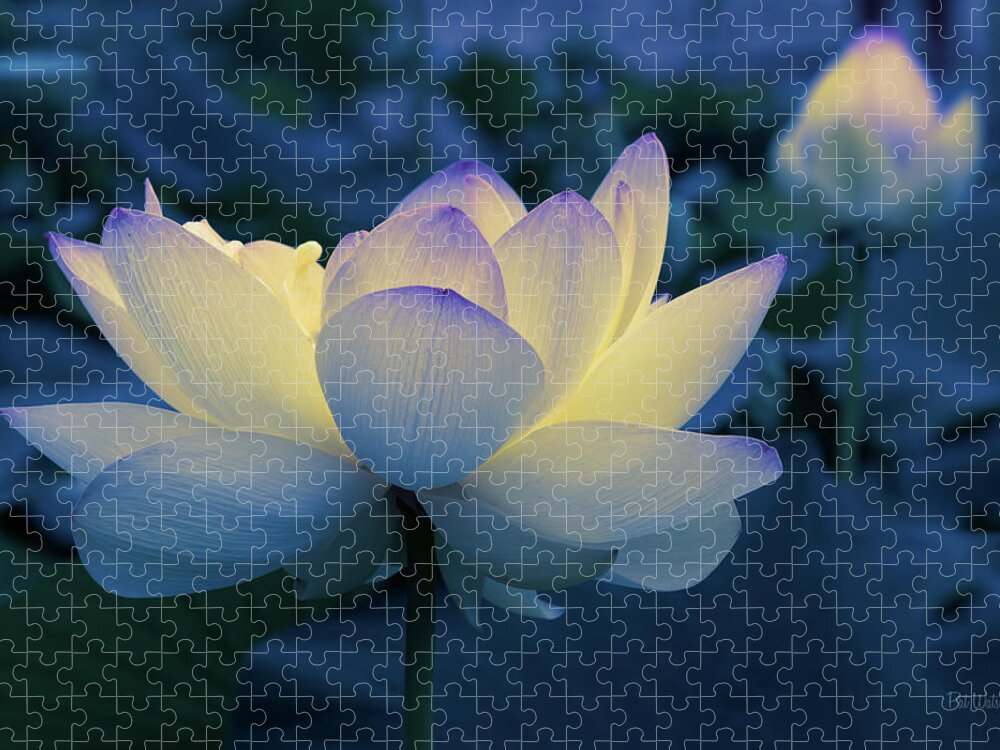 Flower Jigsaw Puzzle featuring the photograph Blue Hour by Pat Watson