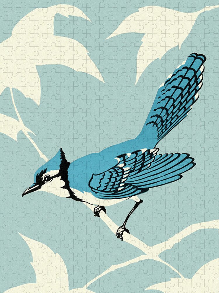 Animal Jigsaw Puzzle featuring the drawing Blue Jay Bird Sitting on Branch by CSA Images