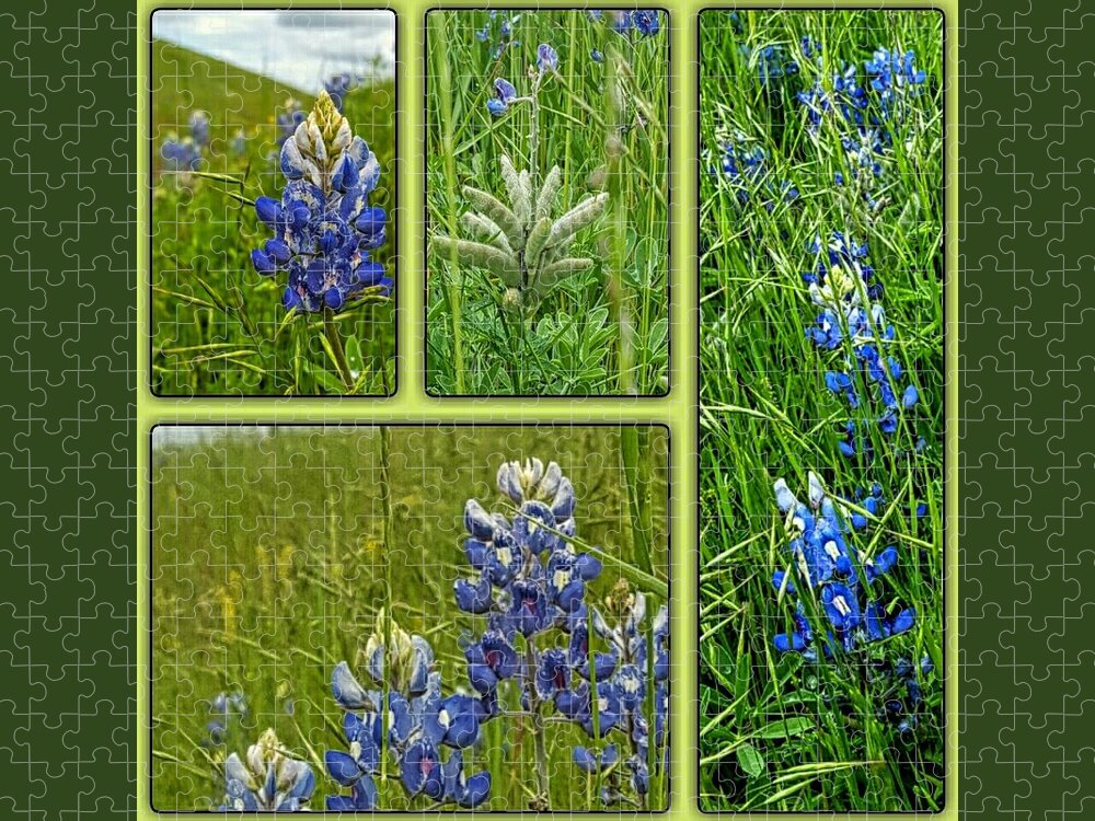 State Flower Of Texas Jigsaw Puzzle featuring the digital art Blue Lupines Are Texan Bluebonnets by Pamela Smale Williams