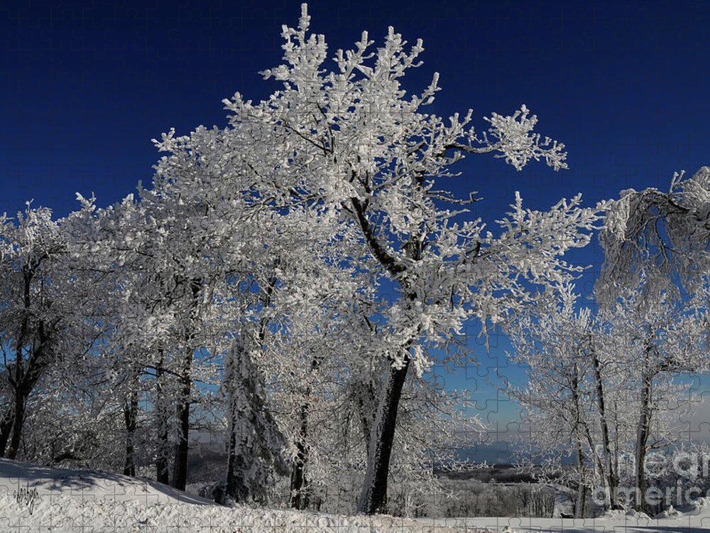Winter Jigsaw Puzzle featuring the photograph Blue Skies In Winter by Lois Bryan