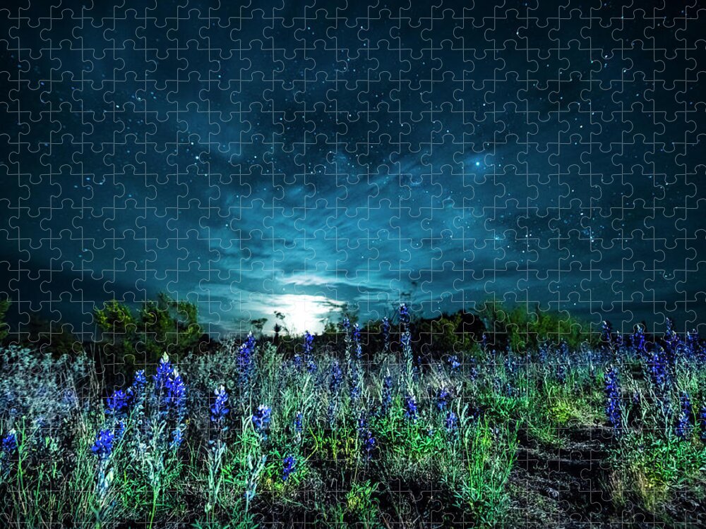 Big Bend Jigsaw Puzzle featuring the photograph Bluebonnet Moonrise by David Morefield