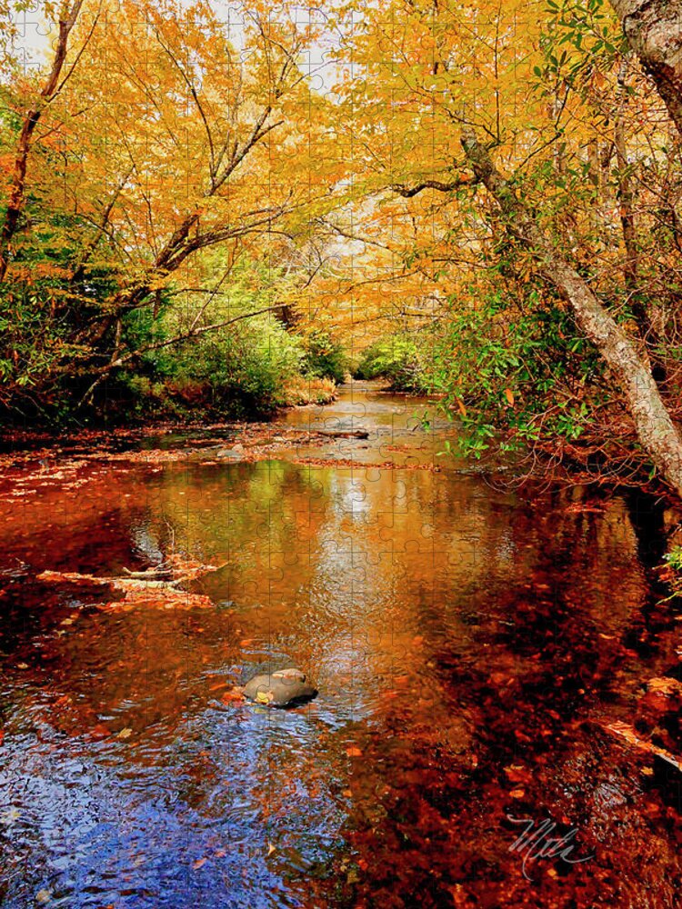 Mountain Jigsaw Puzzle featuring the photograph Boone Fork Stream by Meta Gatschenberger