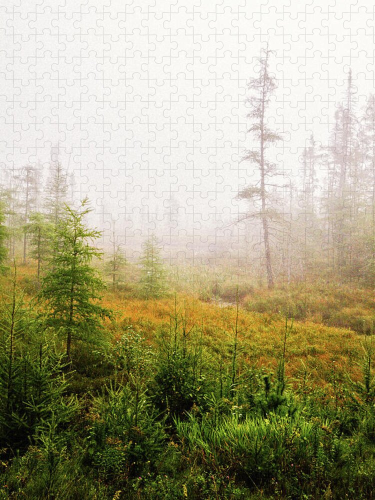 Autumn Jigsaw Puzzle featuring the photograph Boreal On County Road 7 by Cynthia Dickinson