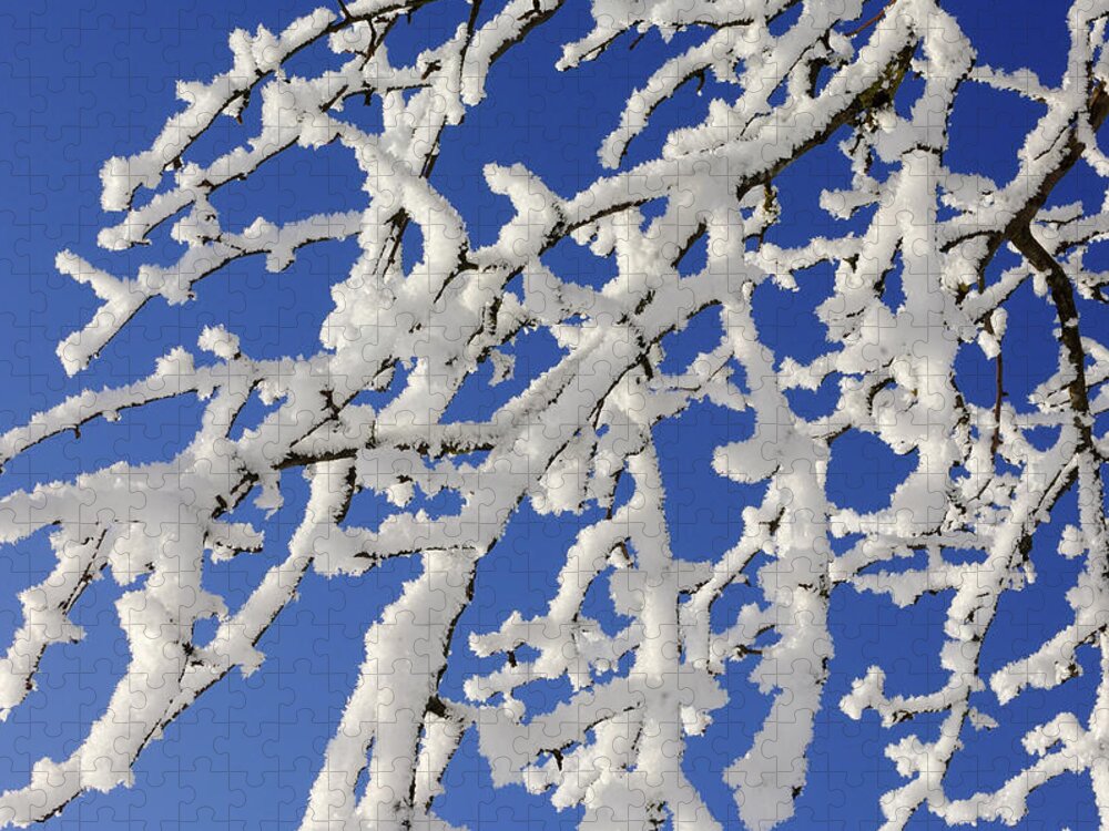 Clear Sky Jigsaw Puzzle featuring the photograph Branches Of Tree Covered With Hoar-frost by Martin Ruegner