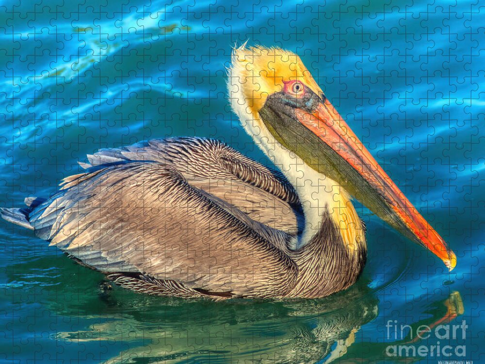 Avian Jigsaw Puzzle featuring the photograph Brown Pelican - North American bird of the pelican family by Stefano Senise