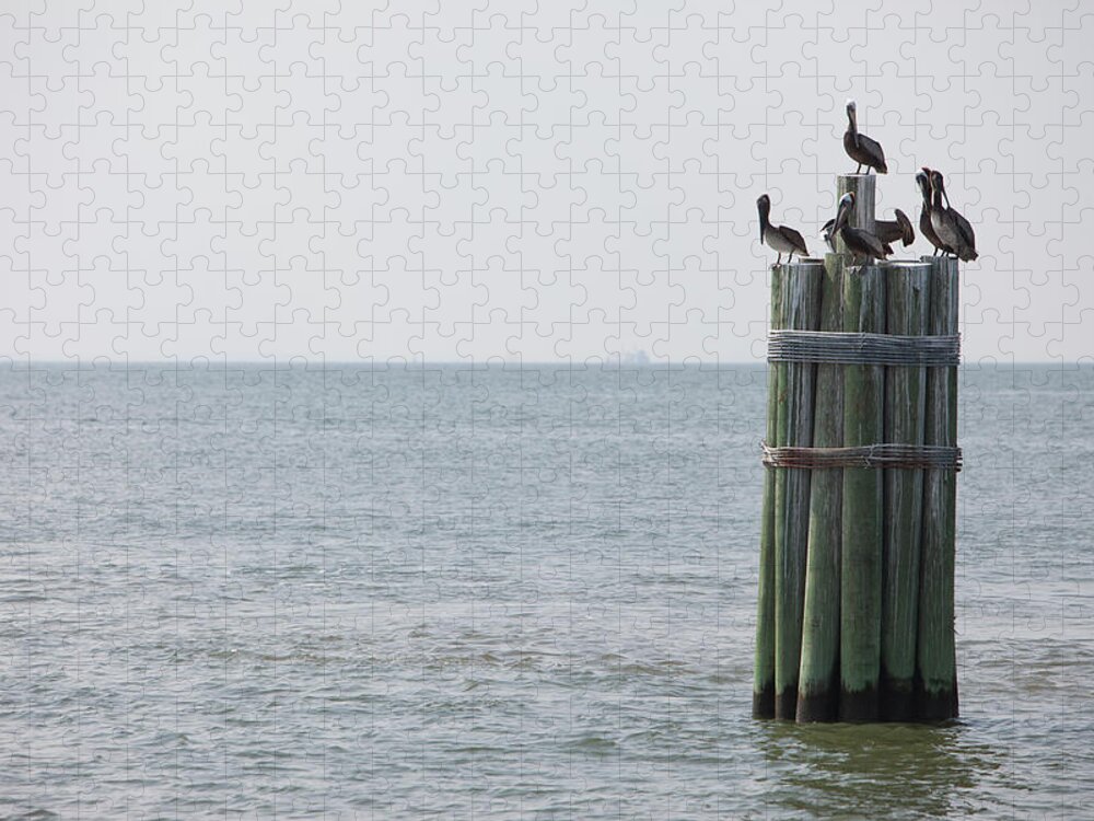 Wooden Post Jigsaw Puzzle featuring the photograph Brown Pelicans Resting On Ocean Pier by Photographer Kris Krüg