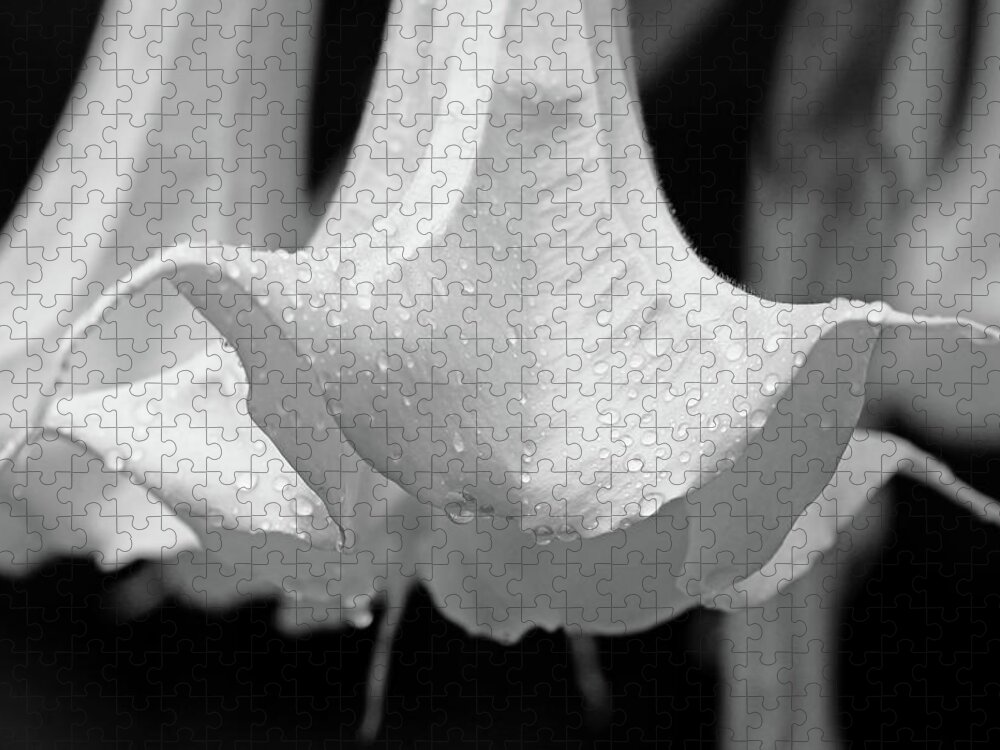Angel's Trumpet Jigsaw Puzzle featuring the photograph Brugmansia Black And White by Debbie Oppermann