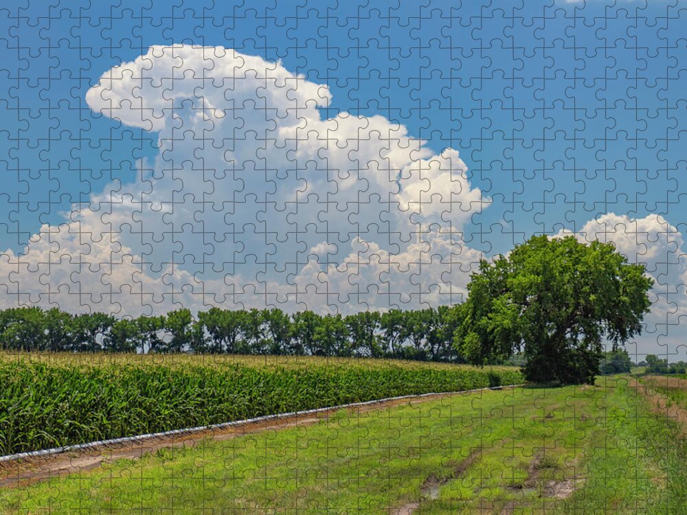 Nebraskasc Jigsaw Puzzle featuring the photograph Building Pulse Storms over Kansas 013 by NebraskaSC