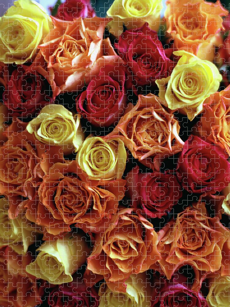 Large Group Of Objects Jigsaw Puzzle featuring the photograph Bunch Of Fairtrade Roses From Above by Lottie Davies