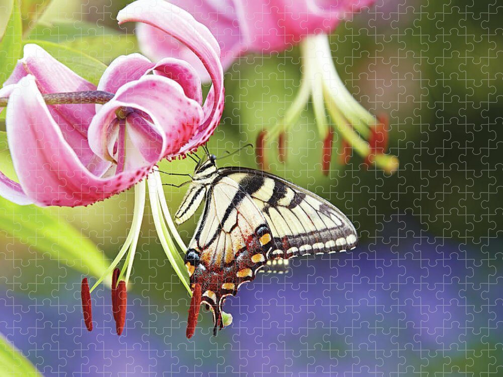 Flowers Jigsaw Puzzle featuring the photograph Butterfly and Lily by Garden Gate magazine