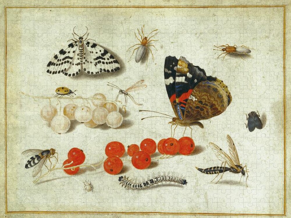 Butterfly Jigsaw Puzzle featuring the painting Butterfly, Caterpillar, Moth, Insects, And Currants by Jan Van Kessel The Younger