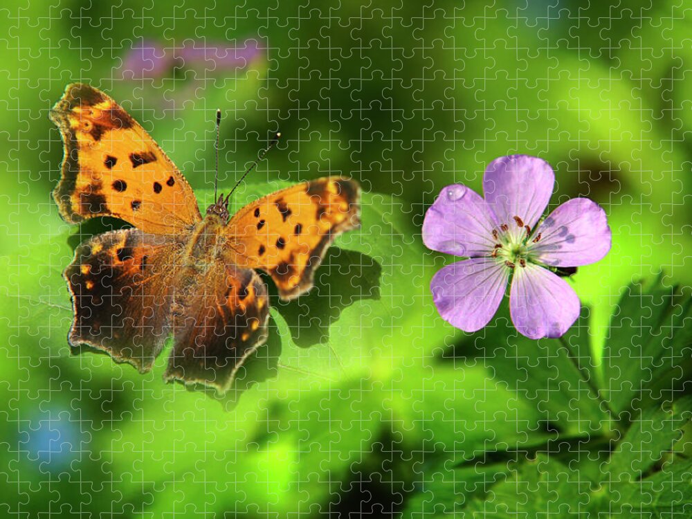Butterfly Jigsaw Puzzle featuring the photograph Butterfly Garden by Christina Rollo