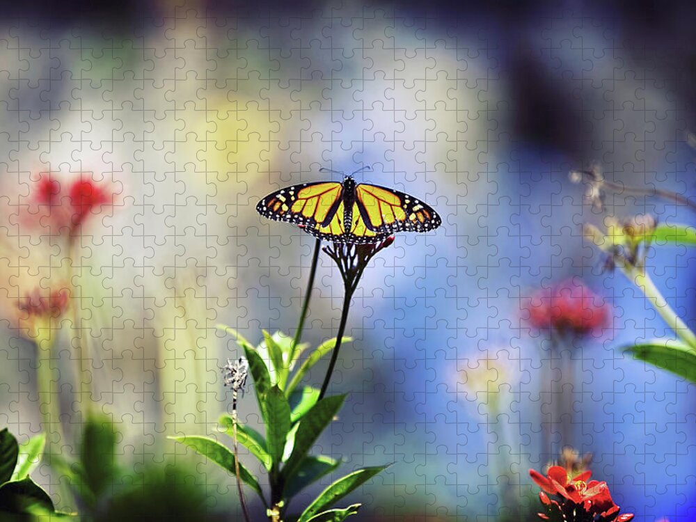 Animal Themes Jigsaw Puzzle featuring the photograph Butterfly In Garden by Dave Fimbres Photography