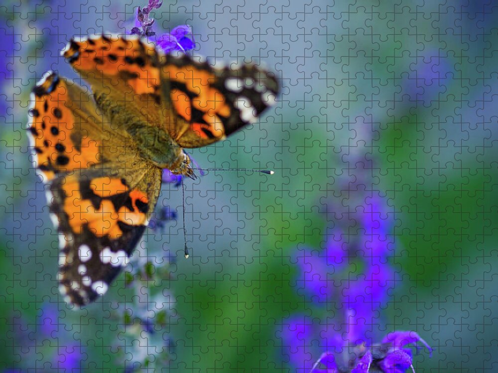 Butterfly Jigsaw Puzzle featuring the photograph Butterfly by Nicole Young