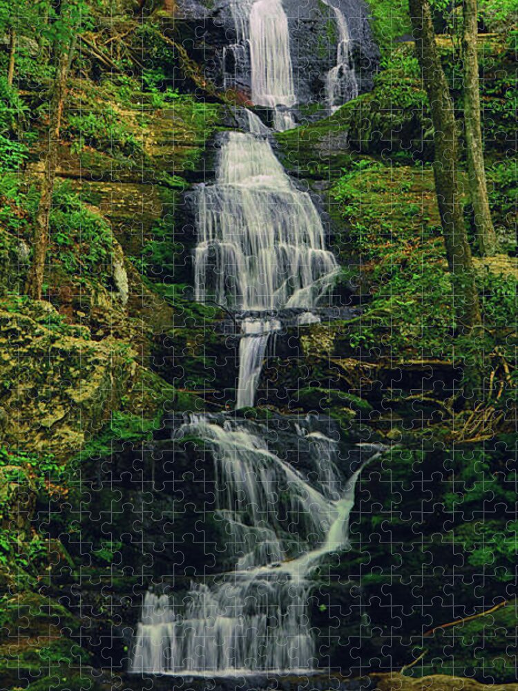 Buttermilk Falls Ratio 2 To 1 Jigsaw Puzzle featuring the photograph Buttermilk Falls Ratio 2 to 1 by Raymond Salani III