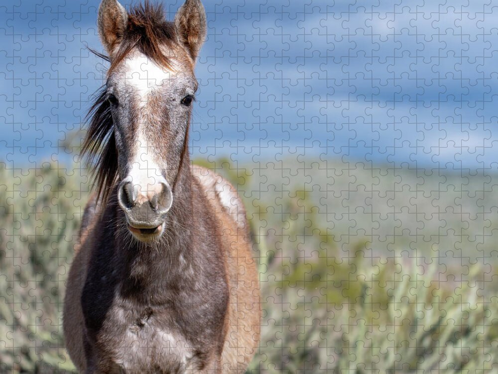Wild Horses Jigsaw Puzzle featuring the photograph Cactus Cutie by Mary Hone