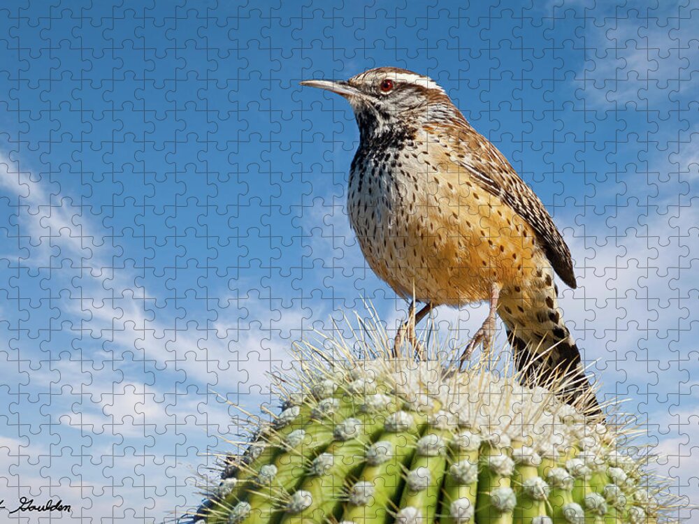 Adult Jigsaw Puzzle featuring the photograph Cactus Wren on a Saguaro Cactus by Jeff Goulden