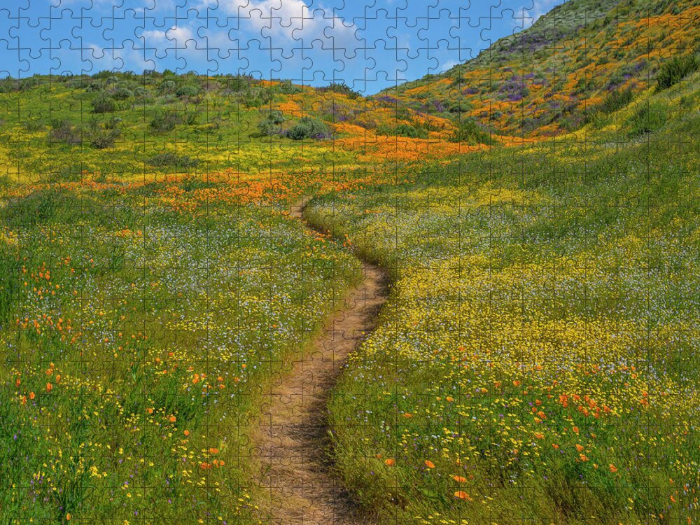 00568206 Jigsaw Puzzle featuring the photograph California Poppy, Desert Bluebell And Wildflower Spring Bloom, Diamond Valley Lake, California by Tim Fitzharris