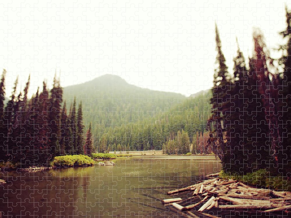 Sparks Lake Jigsaw Puzzle featuring the photograph Calm Logged Overcast Tilt Shifted Lake by Kevinruss