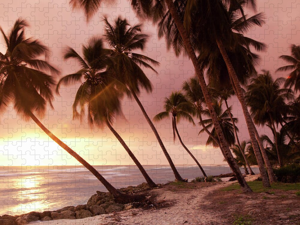 Water's Edge Jigsaw Puzzle featuring the photograph Caribbean, Barbados, Pristine Beach by Buena Vista Images