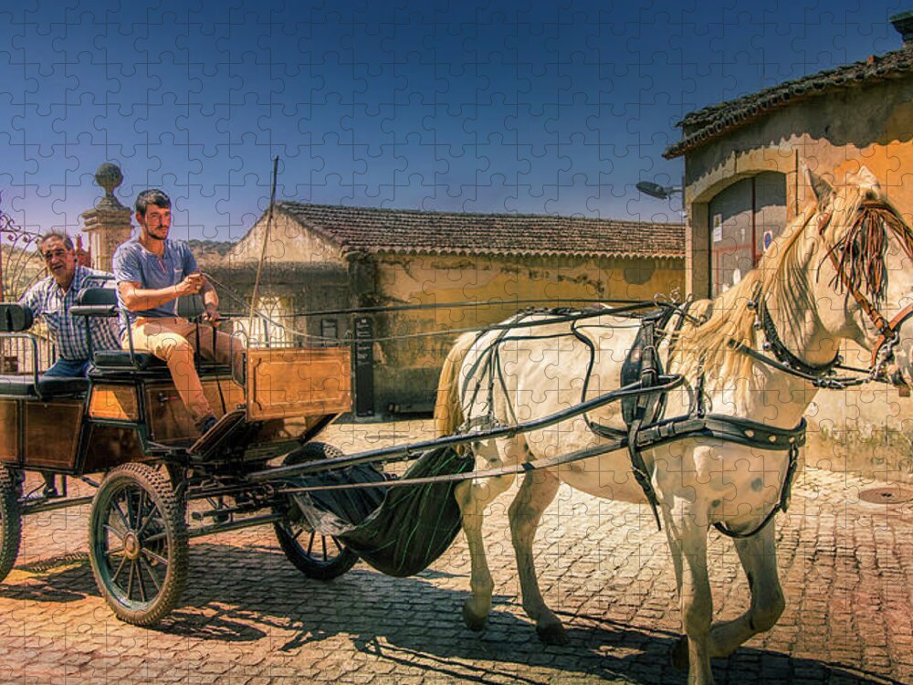 Horse Jigsaw Puzzle featuring the photograph Carriage and horse by Micah Offman