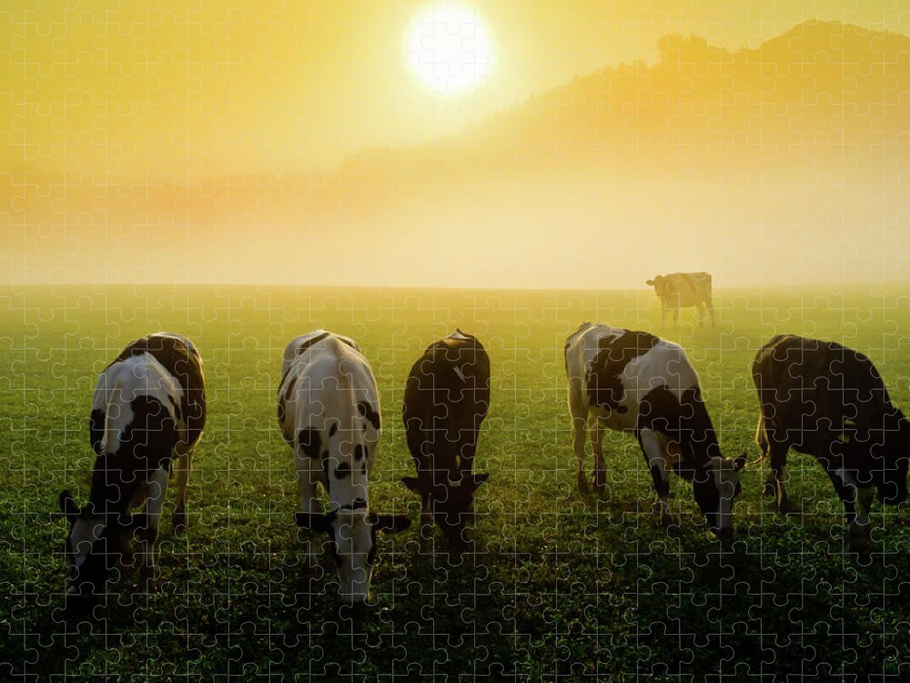 Scenics Jigsaw Puzzle featuring the photograph Cattle At Sunset by Vm