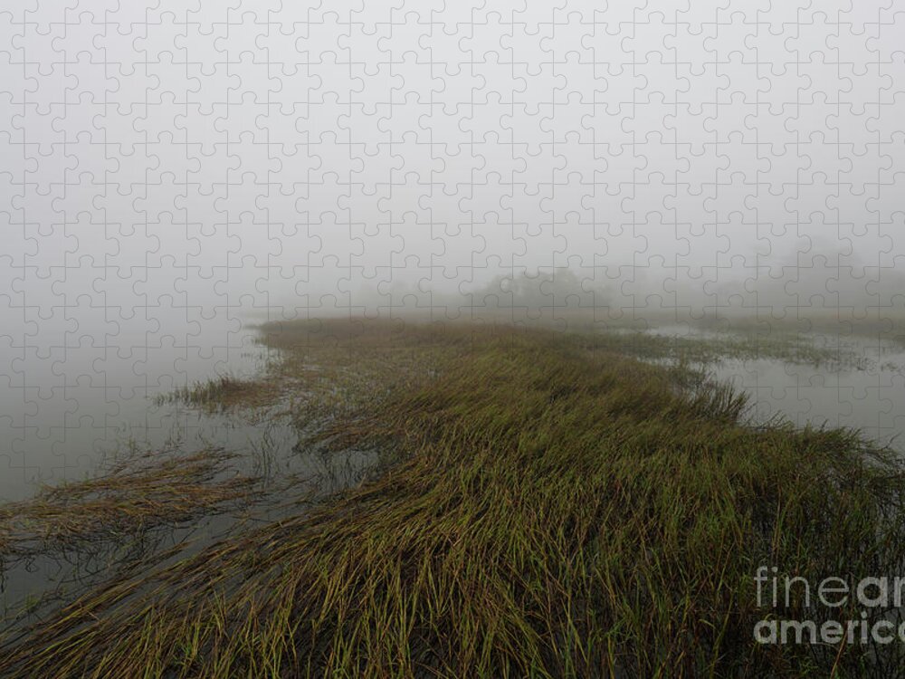 Fog Jigsaw Puzzle featuring the photograph Charleston Fog - Wando River by Dale Powell